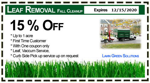 Green solution coupons